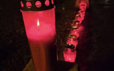 OBAVIJEST UČENICIMA I RODITELJIMA – Dan sjećanja na žrtve Domovinskog rata i Dan sjećanja na žrtvu Vukovara i Škabrnje