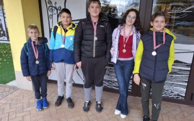 Drugo mjesto na natjecanju u šahu